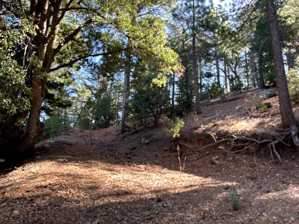 Green Craig Idyllwild, CA 92549