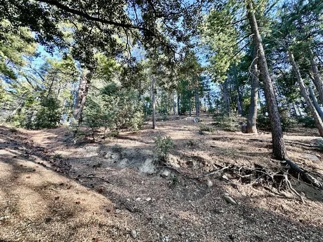 Green Craig Idyllwild, CA 92549