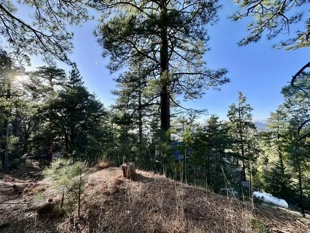 Green Craig Idyllwild, CA 92549