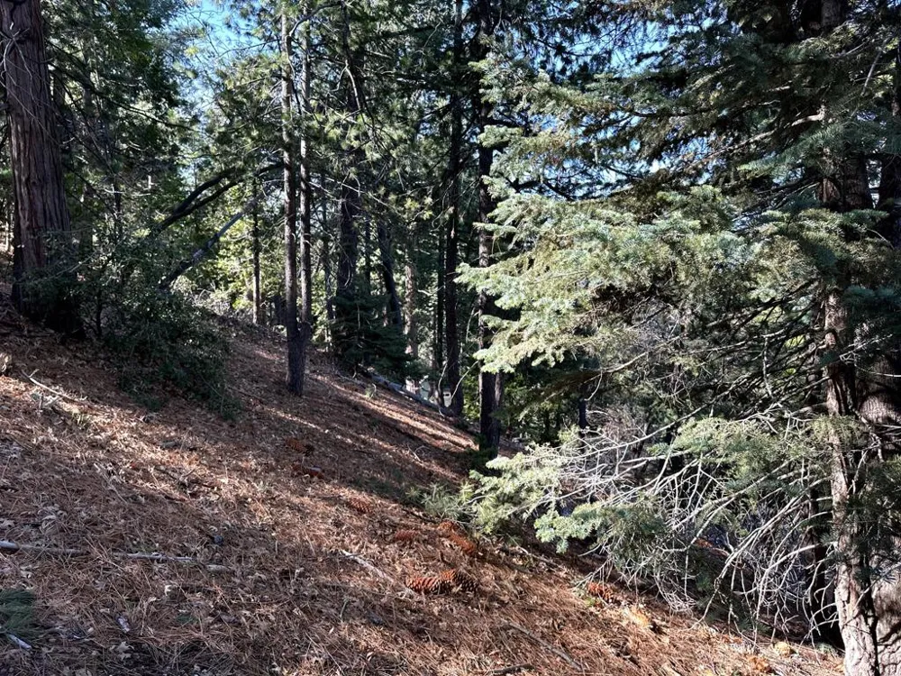 Green Craig Idyllwild, CA 92549