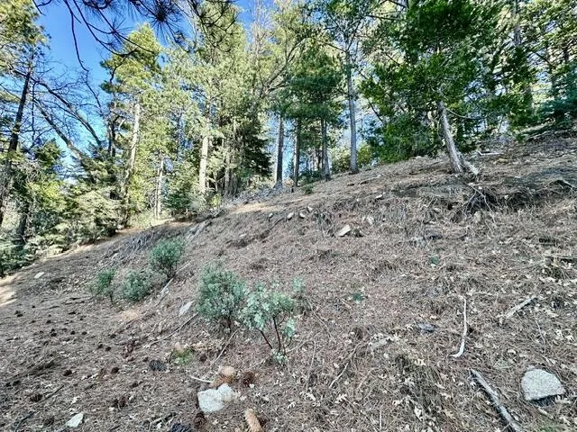 Green Craig Idyllwild, CA 92549
