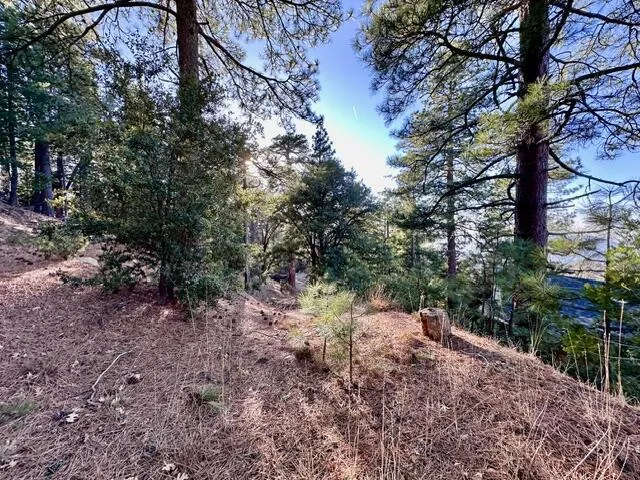 Green Craig Idyllwild, CA 92549