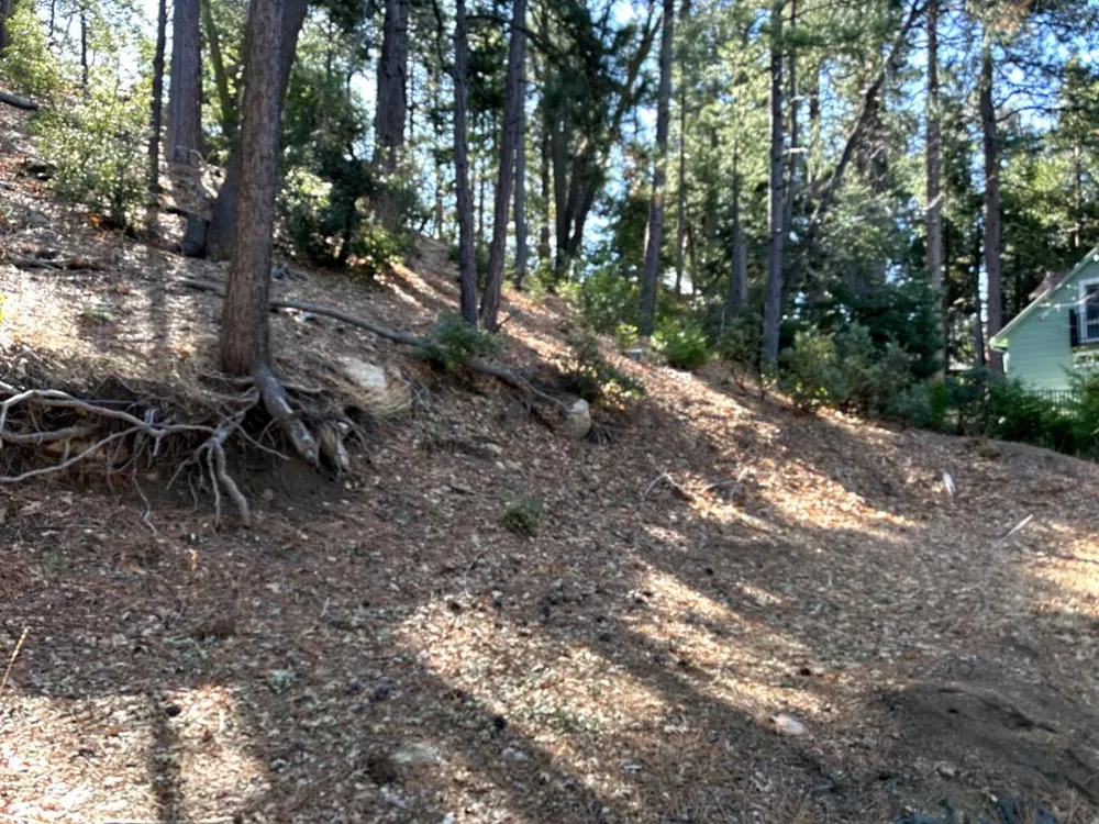 Green Craig Idyllwild, CA 92549