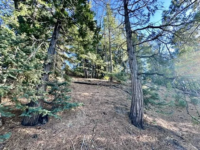 Green Craig Idyllwild, CA 92549