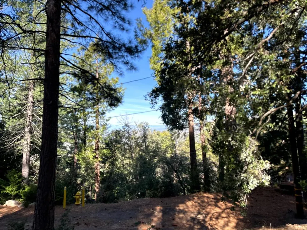 Green Craig Idyllwild, CA 92549