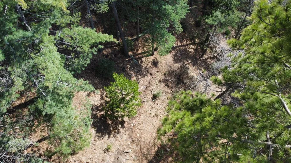 Green Craig Idyllwild, CA 92549