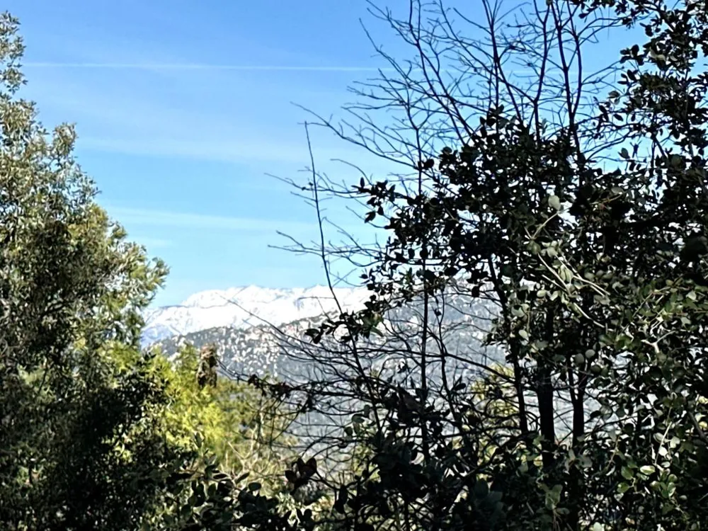 Green Craig Idyllwild, CA 92549