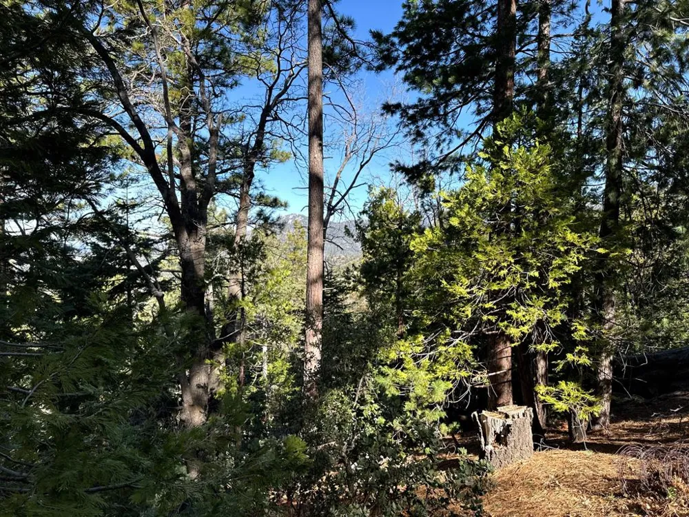 Green Craig Idyllwild, CA 92549