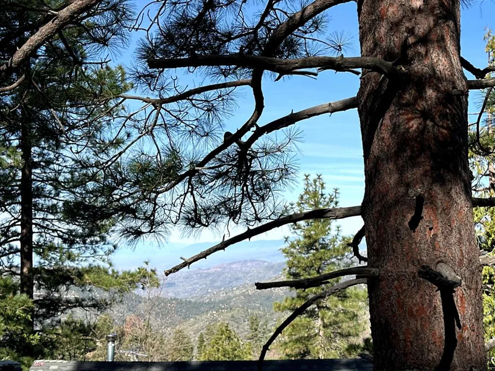 Green Craig Idyllwild, CA 92549