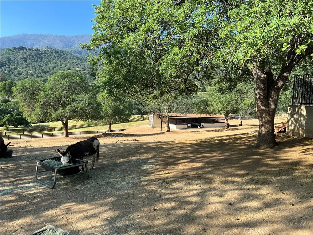 27153 Deer Creek Way Keene, CA 93531