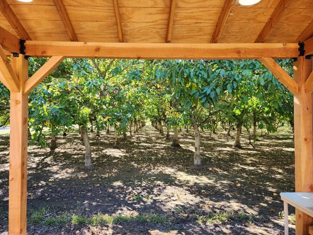 3719 Hart Road Modesto, CA 95358