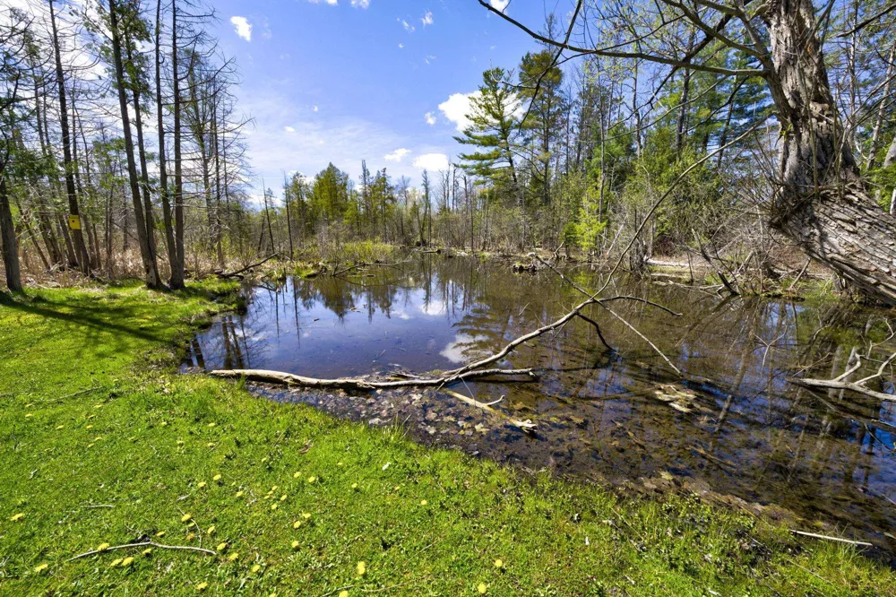 210 Spring Street Paradise Township, MI 49649