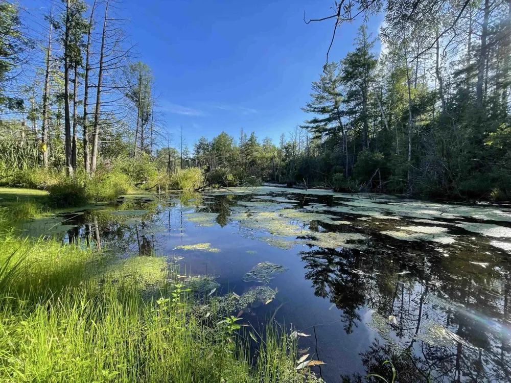 210 Spring Street Paradise Township, MI 49649