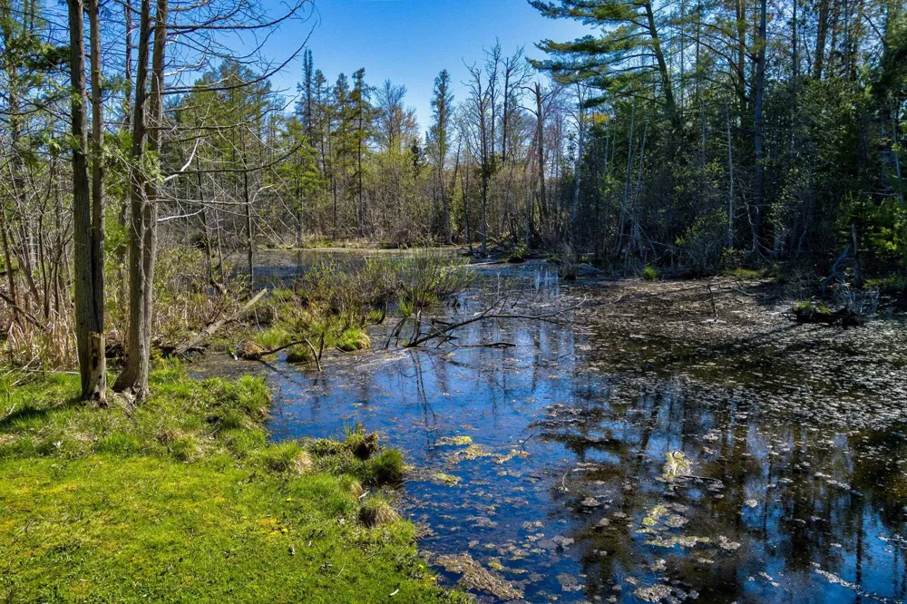 210 Spring Street Paradise Township, MI 49649