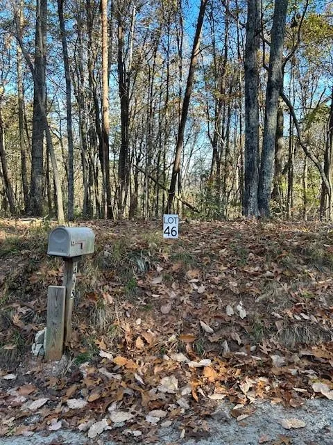440 Ridge Road Dawsonville, GA 30534