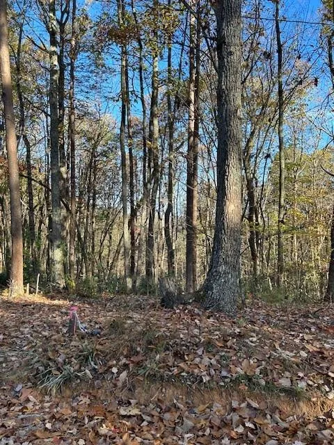 440 Ridge Road Dawsonville, GA 30534