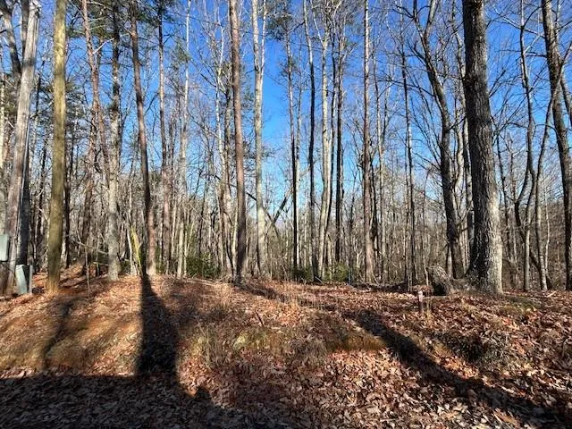 440 Ridge Road Dawsonville, GA 30534
