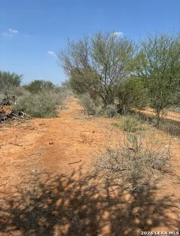 24 Cheyenne