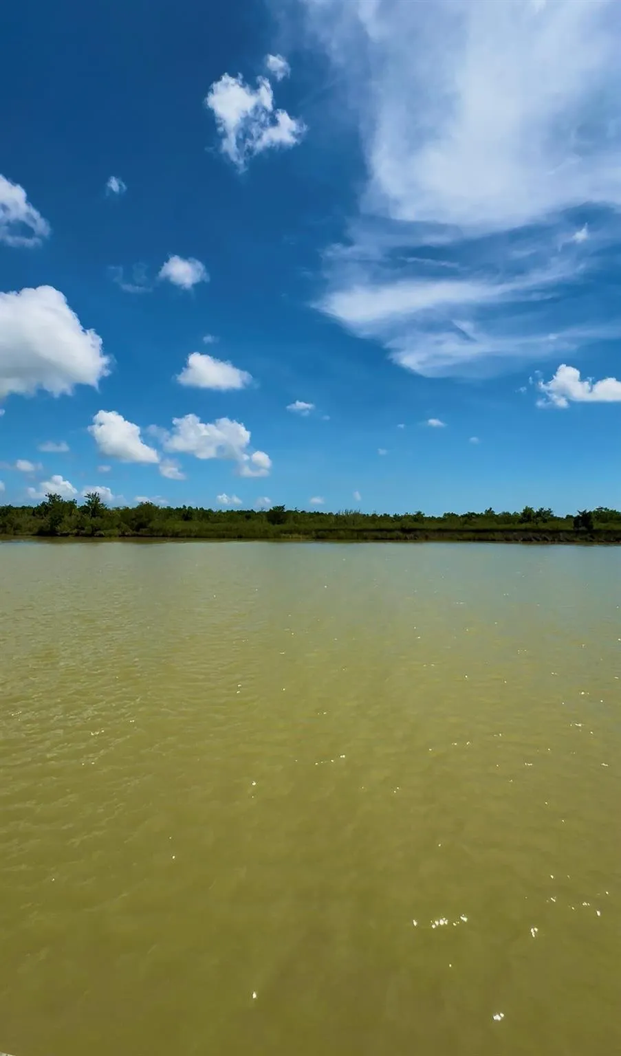 West Bayshore Oak Island, TX 77514