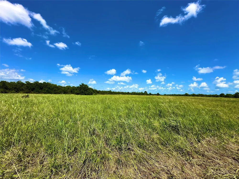 2101 W Bayshore Road Anahuac, TX 77514