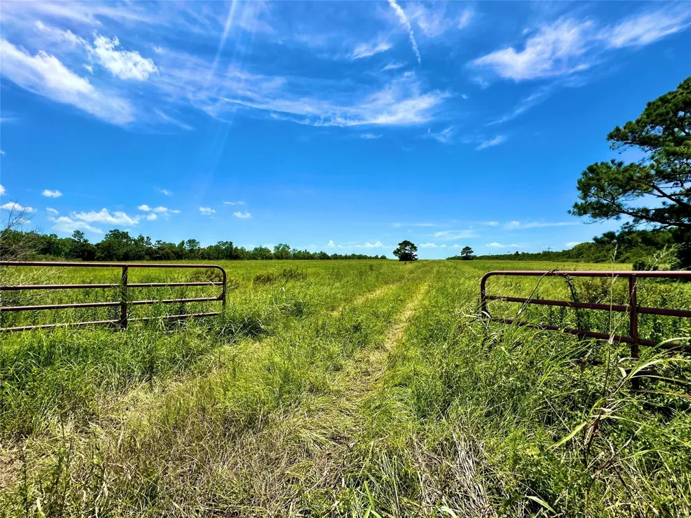 2101 W Bayshore Road Anahuac, TX 77514