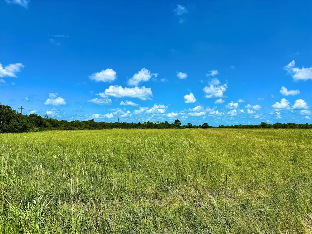 2101 W Bayshore Road Anahuac, TX 77514