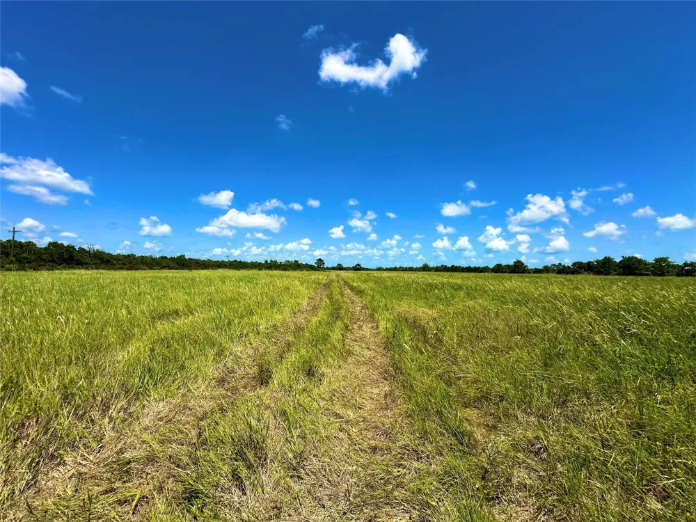 2101 W Bayshore Road Anahuac, TX 77514