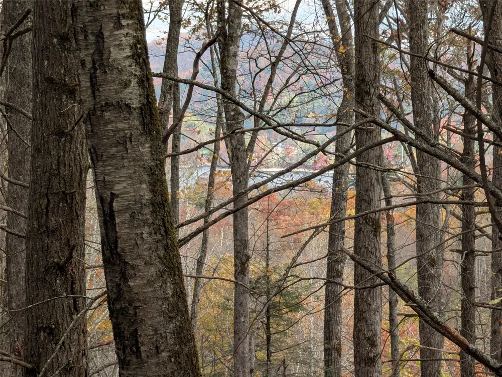 Lot 219 Drystack Way Cashiers, NC 28717