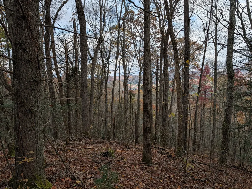 Lot 219 Drystack Way Cashiers, NC 28717