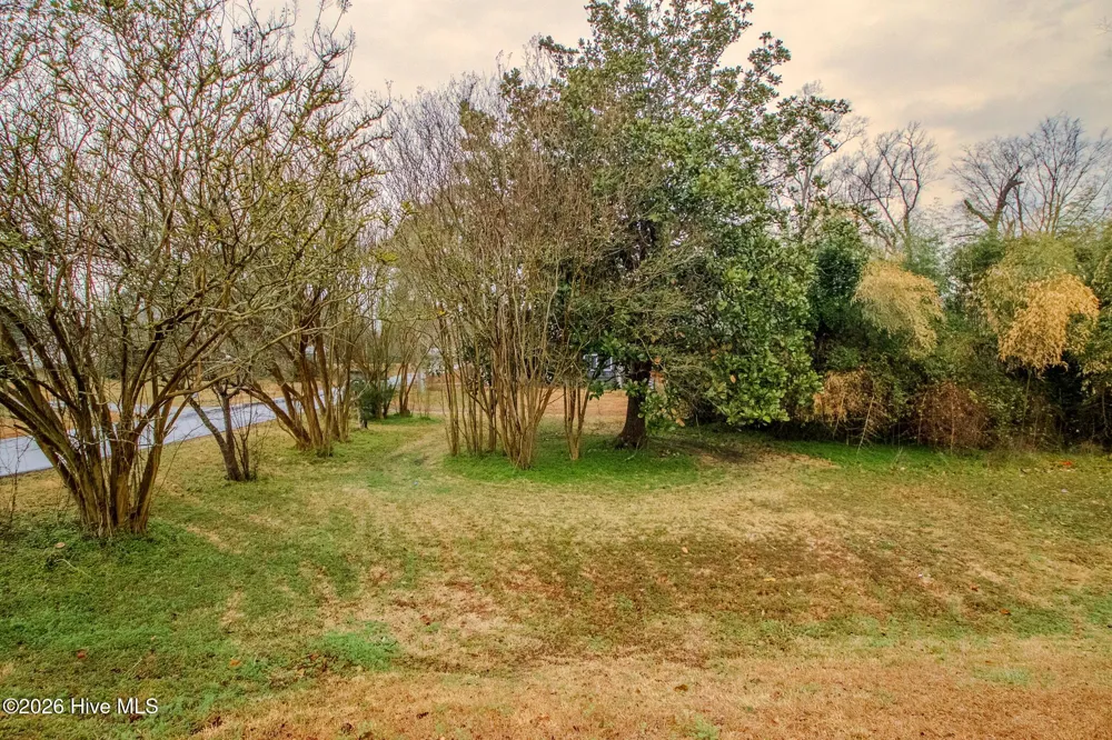 Lot 4 E Trent Street Trenton, NC 28585