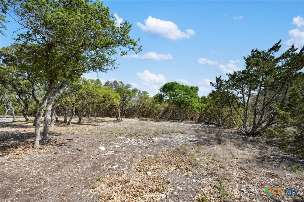 332 First Down Dash Burnet, TX 78611