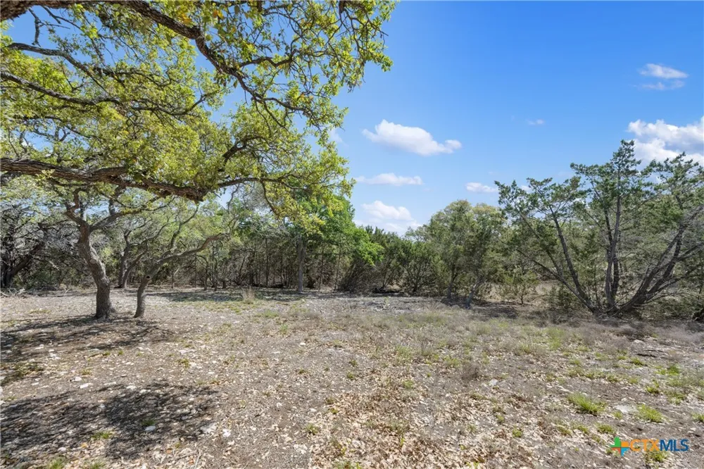 332 First Down Dash Burnet, TX 78611