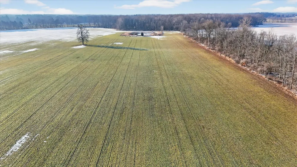 E Chadwick Road Olive Township, MI 48820