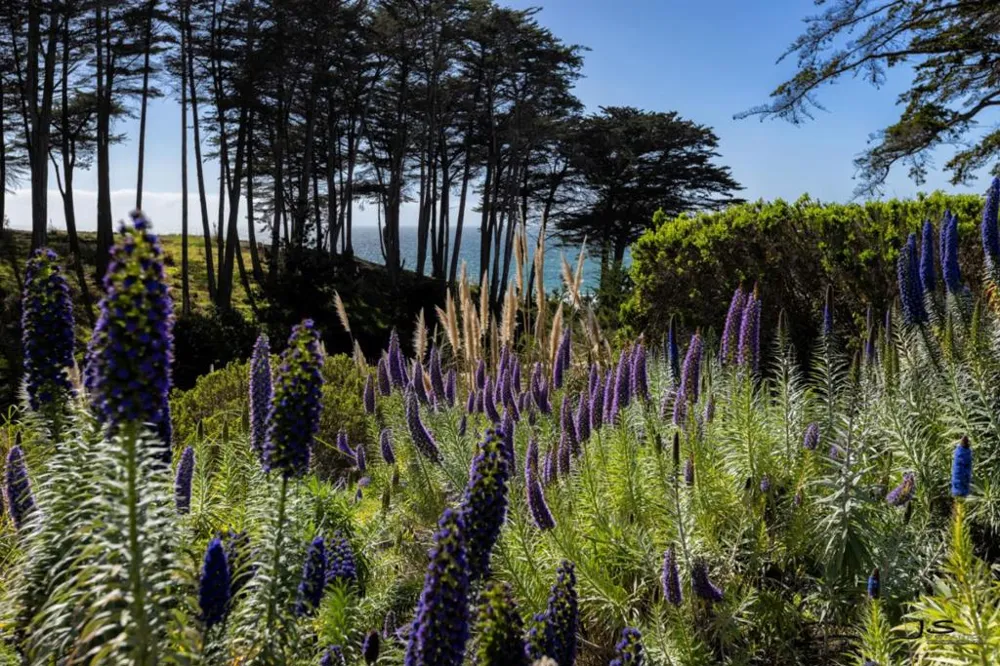 211 Seascape Resort Drive Aptos, CA 95003