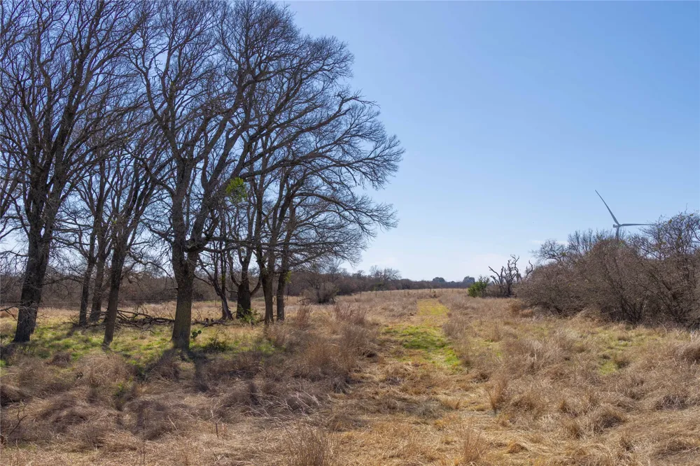 194 County Road 214 Goldthwaite, TX 76844