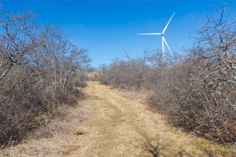 194 County Road 214 Goldthwaite, TX 76844