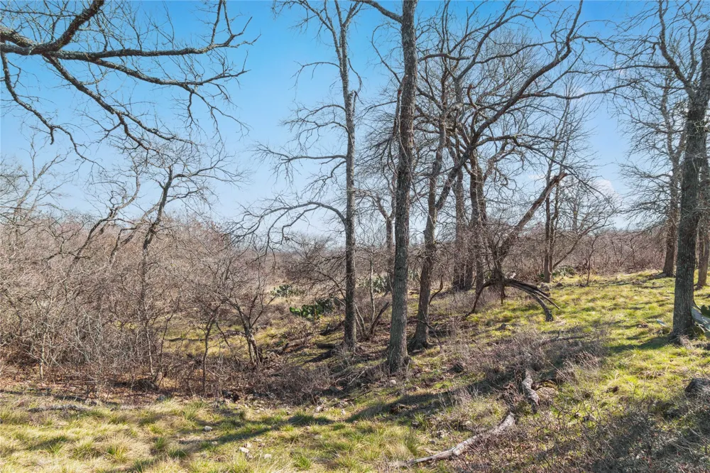 194 County Road 214 Goldthwaite, TX 76844
