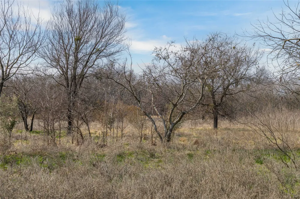 440 Cato Street De Leon, TX 76444