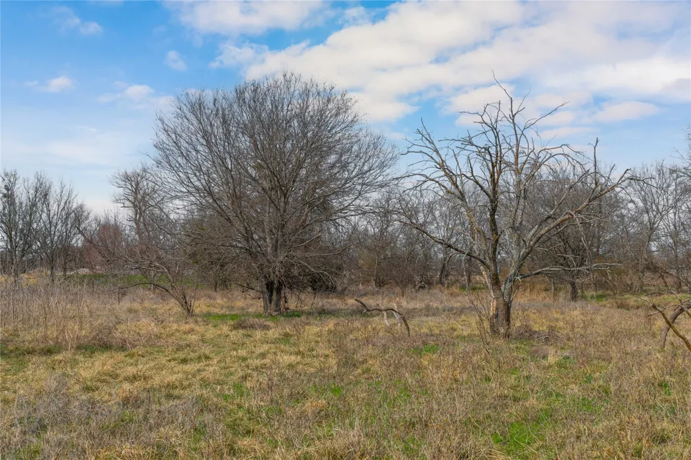440 Cato Street De Leon, TX 76444