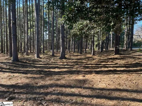 Address Not Shown