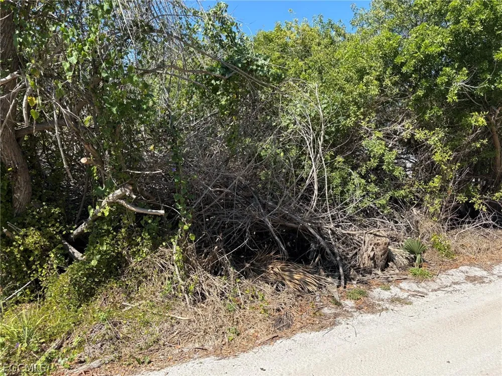 Longboat Circle Captiva, FL 33924
