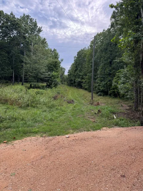 Tatum Gulf Road