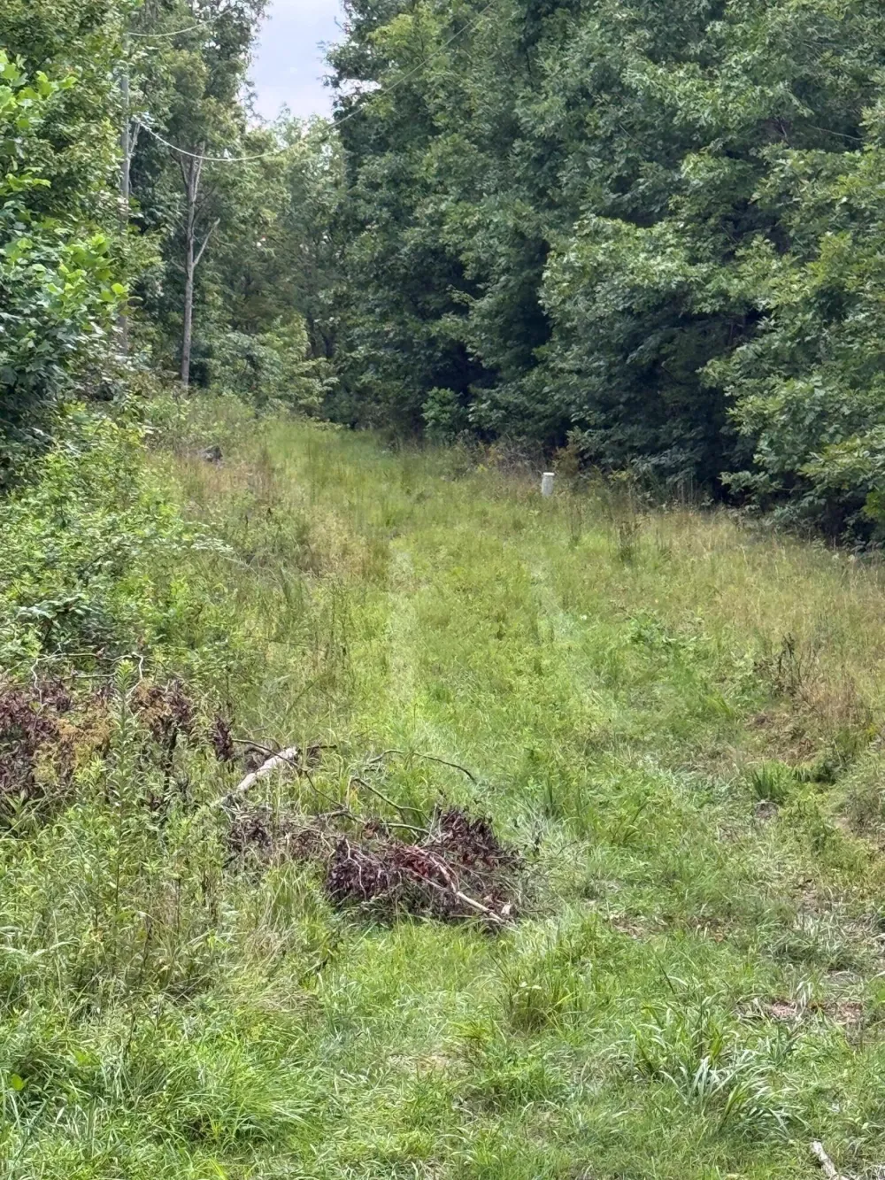 Tatum Gulf Road Menlo, GA 30731