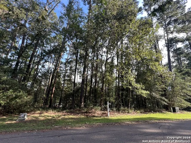 91 Twinstone Cir Coldspring, TX 77331