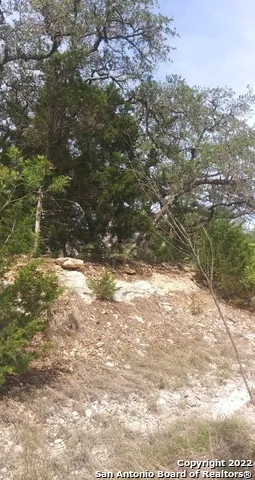825 RUTHERFORD Fischer, TX 78623