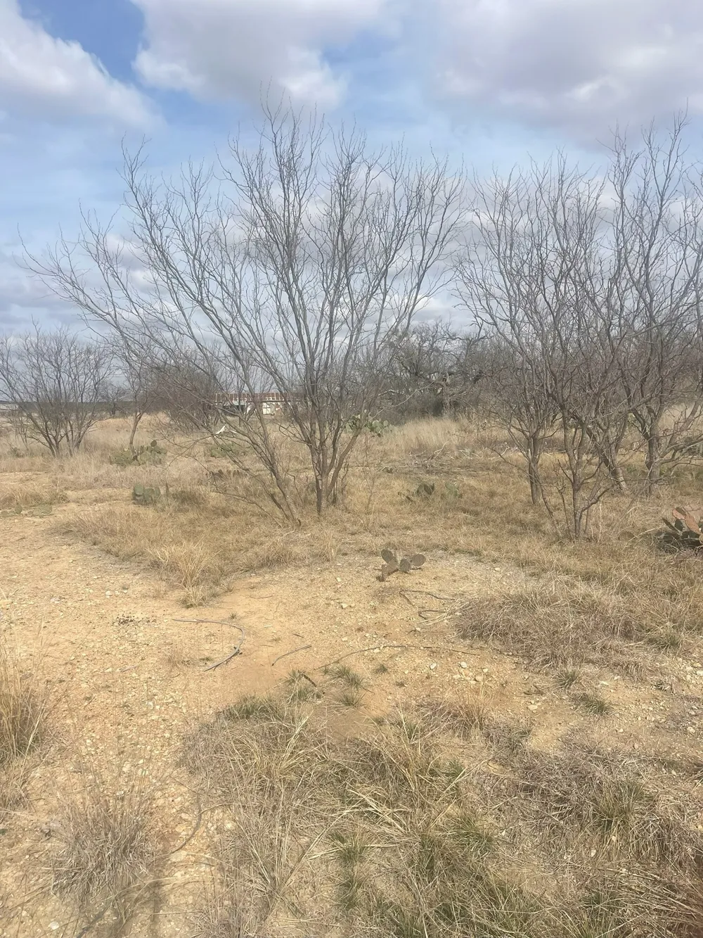 County Road 221 Brookesmith, TX 76827