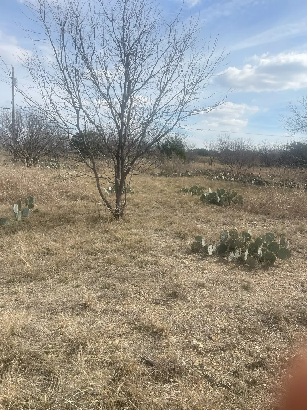 County Road 221 Brookesmith, TX 76827