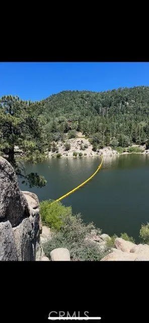1820 Golden Rod Big Bear City, CA 92314