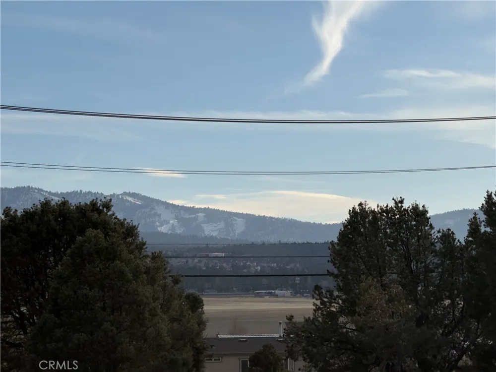1820 Golden Rod Big Bear City, CA 92314