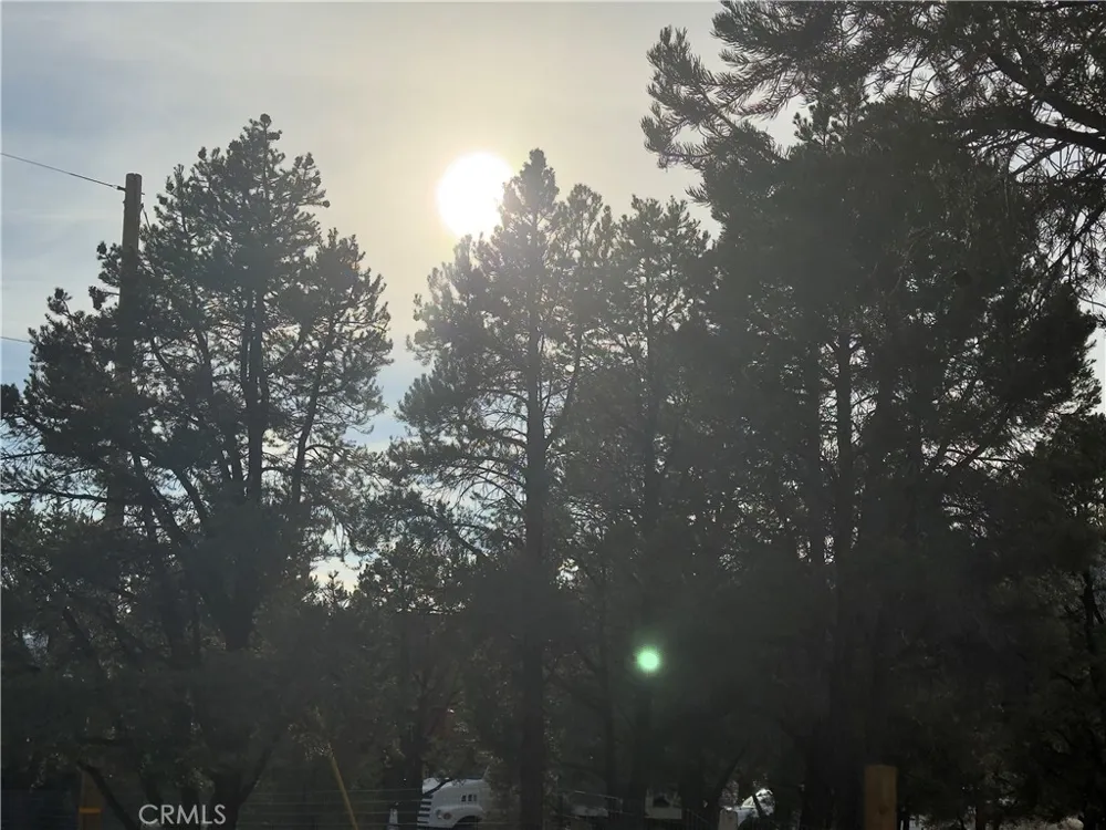 1820 Golden Rod Big Bear City, CA 92314